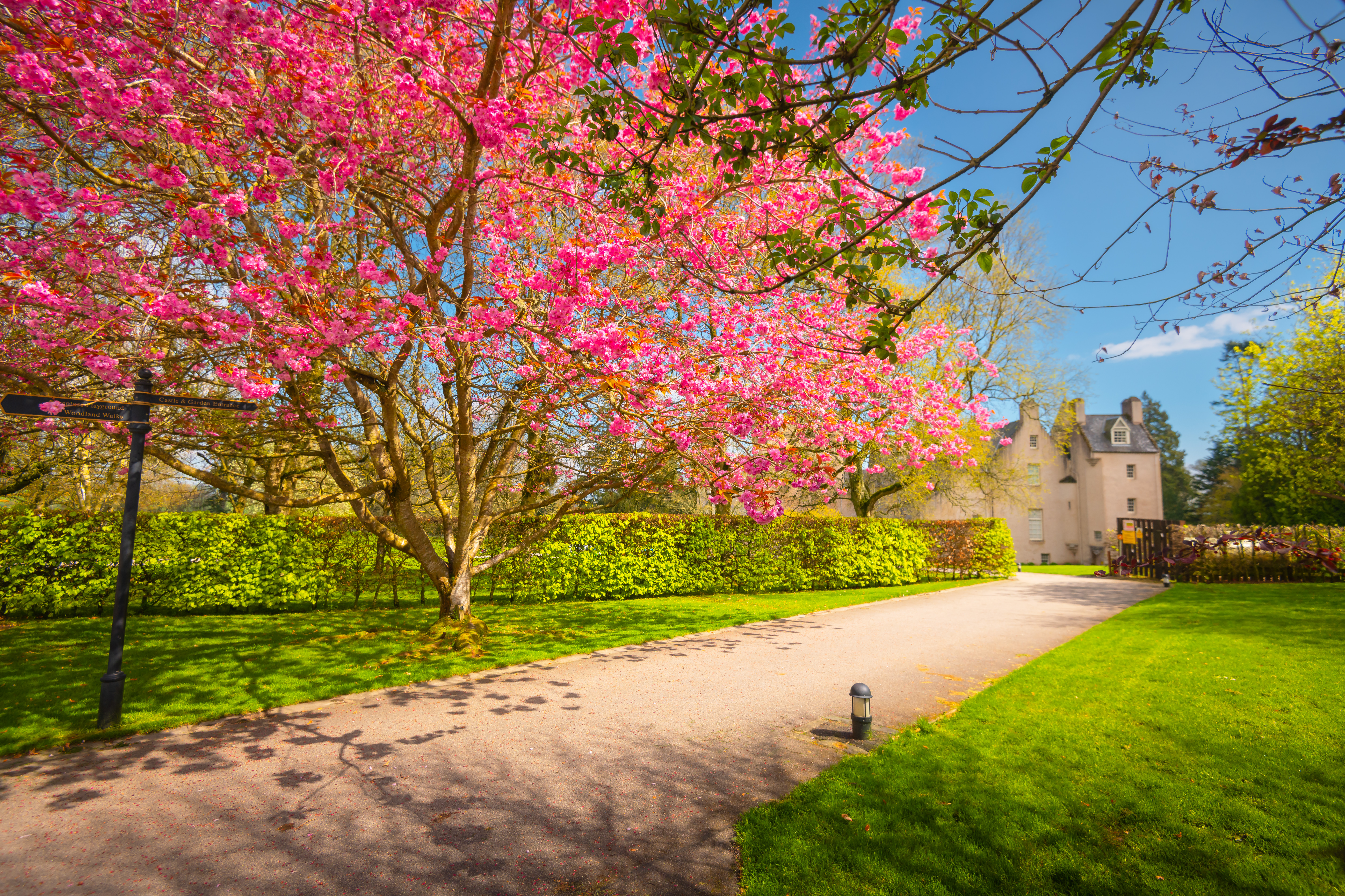 Welcome to VisitAberdeenshire's website for local tourism businesses