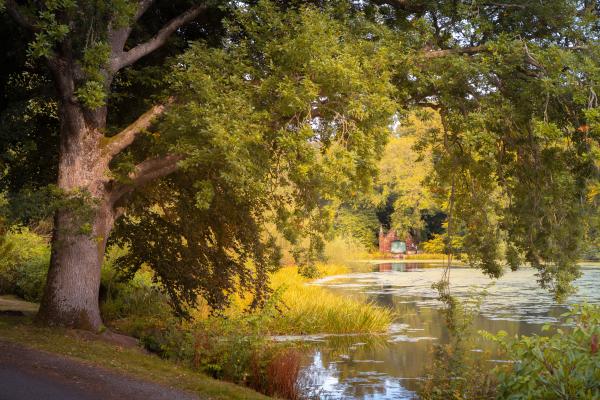 Fyvie Castle Gardens 168 DS 2 CH Upload