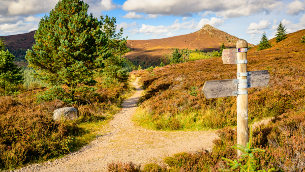 Bennachie